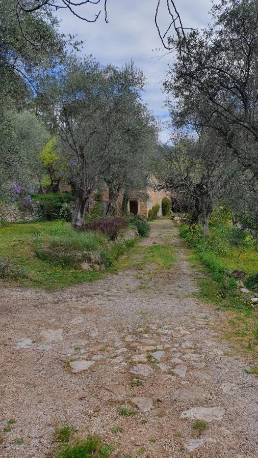 Mas 18eme Oliveraie Hébergement de vacances Grasse